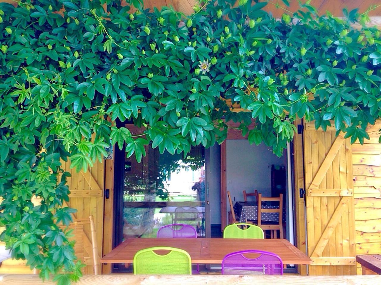 Lège-Cap-Ferret Camping Aux Couleurs Du Ferret מראה חיצוני תמונה